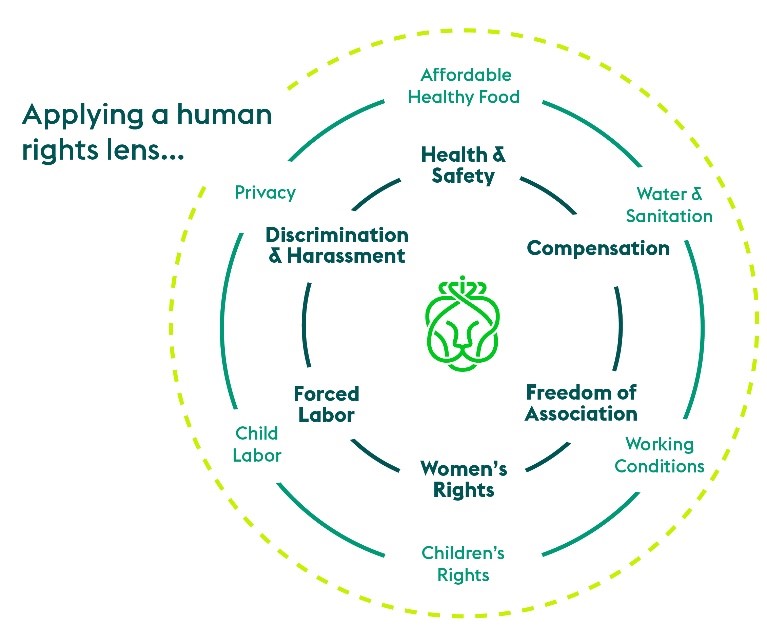 Ahold_Delhaize-Human_Rights_Report-2020-priority_issues.jpg