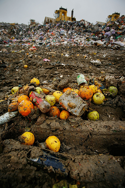 The food industry is taking steps to reduce the 80 billion pounds of food discarded in U.S. landfills annually. (Photo by Getty Images)